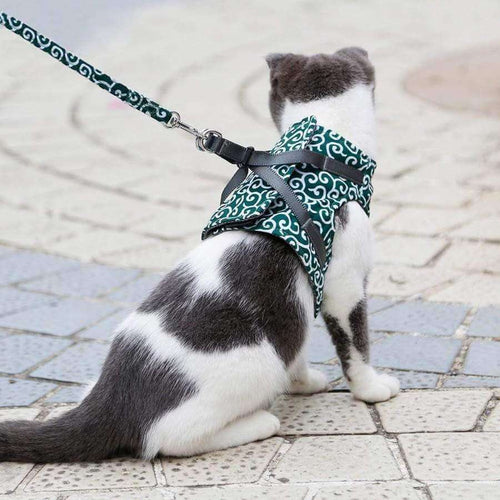 Azura | PAWVENTURE HARNESS – Cat Harness Vest Set with Breathable Mesh & Leash