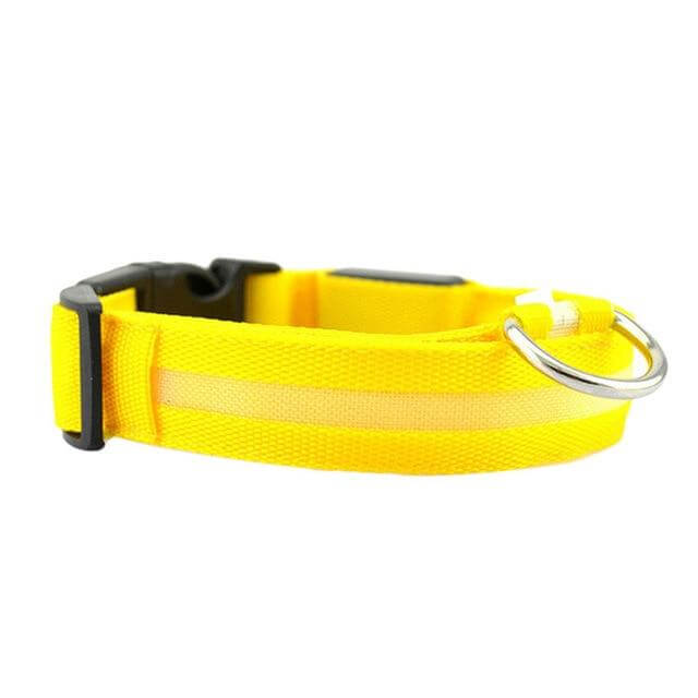 Azura | GlowPets LED Collar – Safety & Visibility for Pets