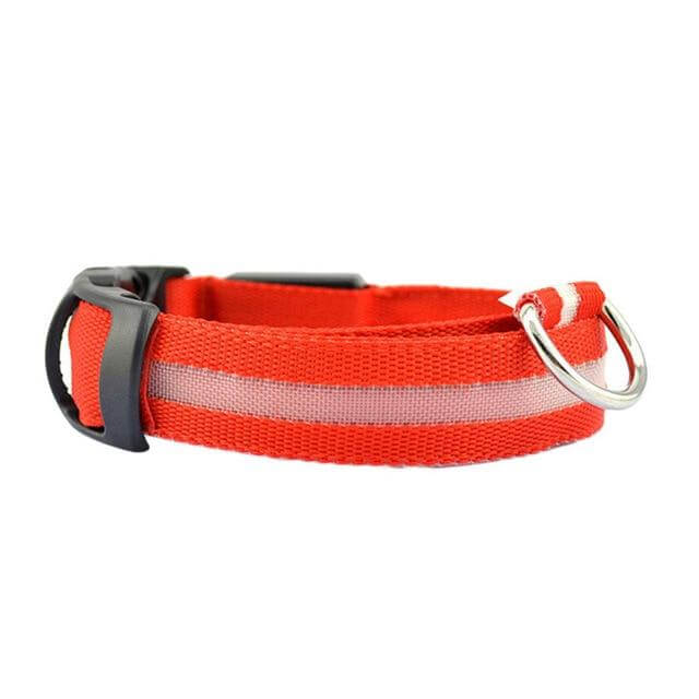 Azura | GlowPets LED Collar – Safety & Visibility for Pets
