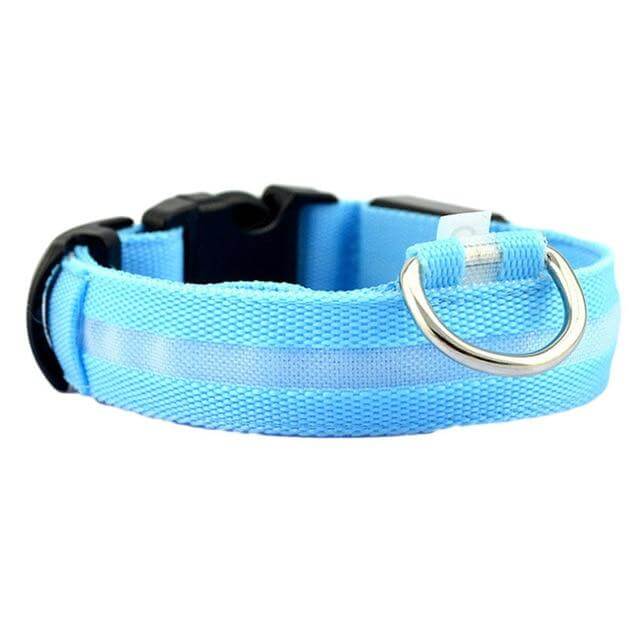 Azura | GlowPets LED Collar – Safety & Visibility for Pets