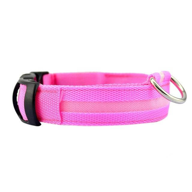 Azura | GlowPets LED Collar – Safety & Visibility for Pets