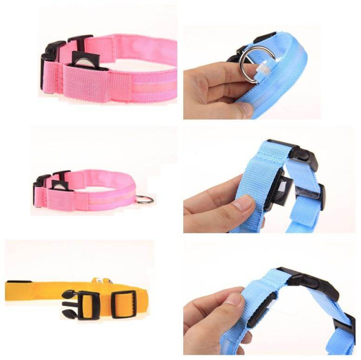 Azura | GlowPets LED Collar – Safety & Visibility for Pets