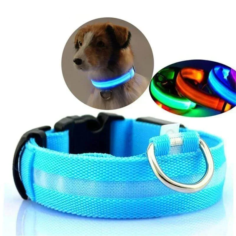 Azura | GlowPets LED Collar – Safety & Visibility for Pets