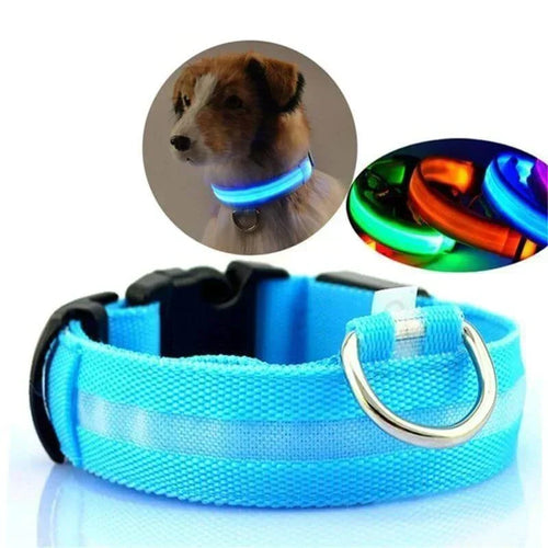 Azura | GlowPets LED Collar – Safety & Visibility for Pets