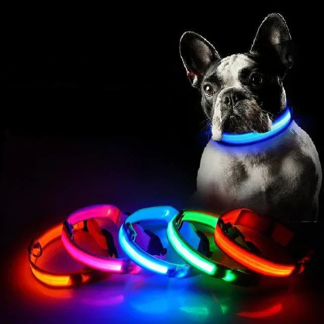 Azura | GlowPets LED Collar – Safety & Visibility for Pets