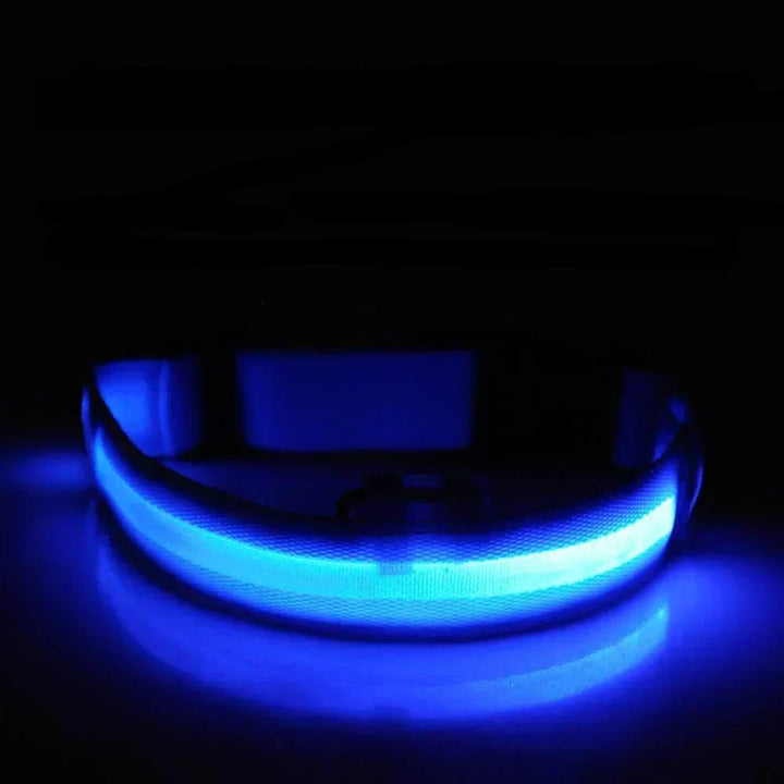 Azura | GlowPets LED Collar – Safety & Visibility for Pets