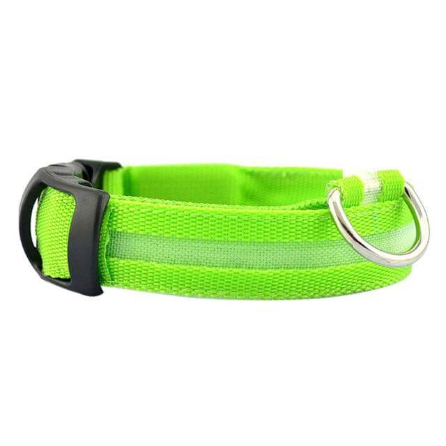 Azura | GlowPets LED Collar – Safety & Visibility for Pets