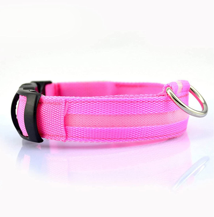 Azura | Luminous Animal Collar with LED Light – Rechargeable, Waterproof, Adjustable Fit for Enhanced Safety at Night