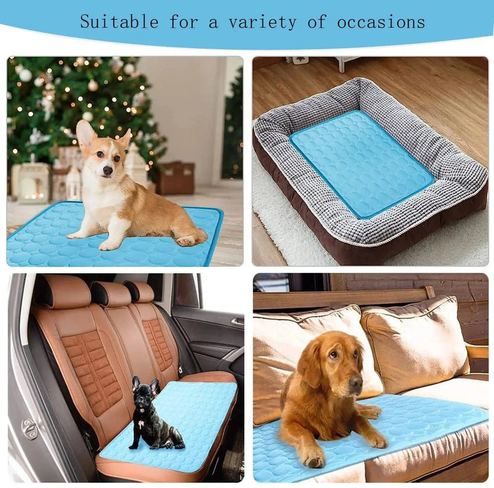 Dog Cooling Mat Summer Pad for Dogs Cat Blanket Breathable Dog Bed Kennel Puppy Sleeping Sofa Cushion Dog Accessories | Azura