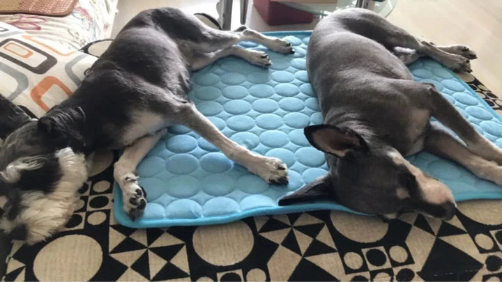 Dog Cooling Mat Summer Pad for Dogs Cat Blanket Breathable Dog Bed Kennel Puppy Sleeping Sofa Cushion Dog Accessories | Azura