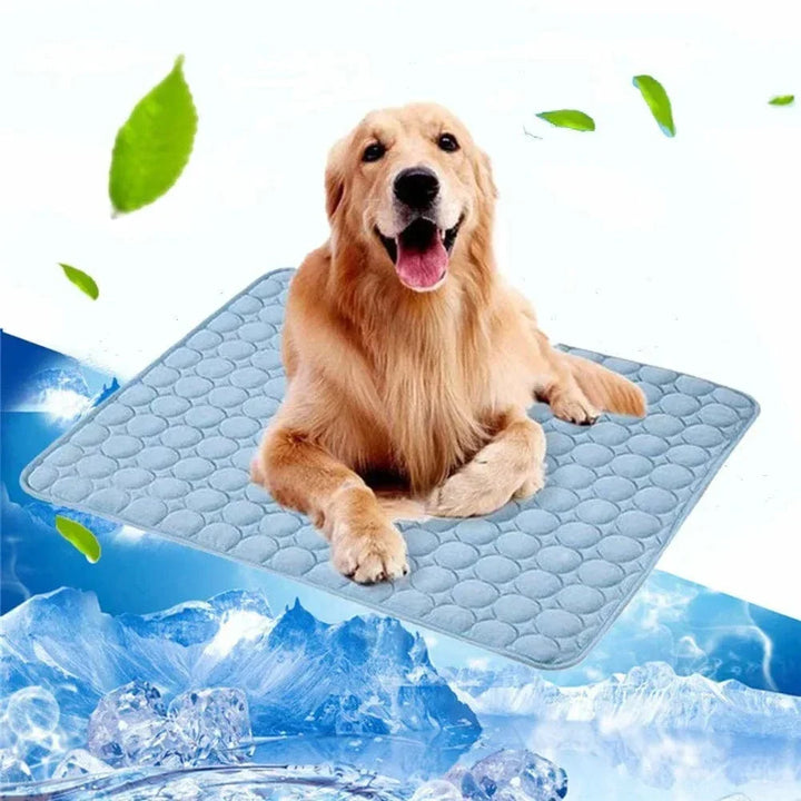 Dog Cooling Mat Summer Pad for Dogs Cat Blanket Breathable Dog Bed Kennel Puppy Sleeping Sofa Cushion Dog Accessories | Azura