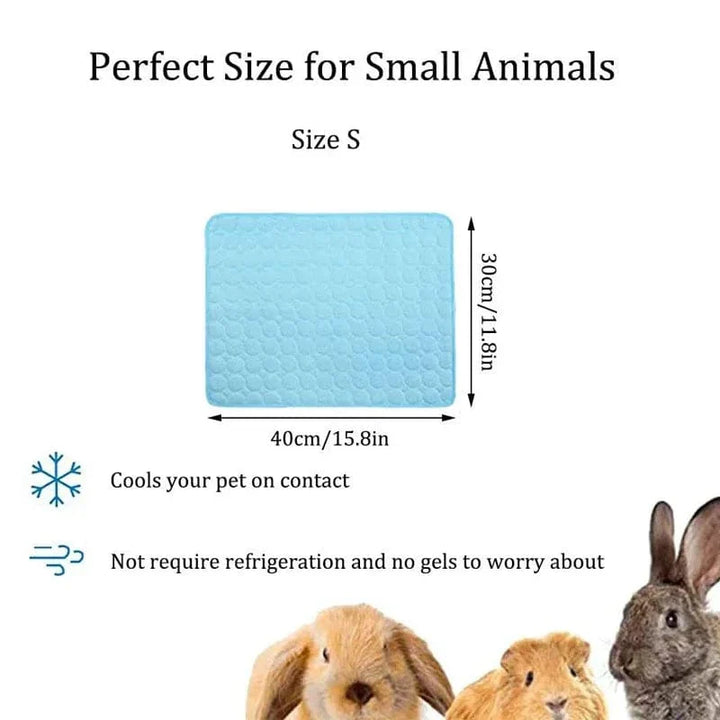 Guinea Pig Cage Liners Summer Small Animal Cooling Mat Breathable Hamster Pee Pad for Rabbit Cage Chinchilla Hedgehogs Pet Item | Azura