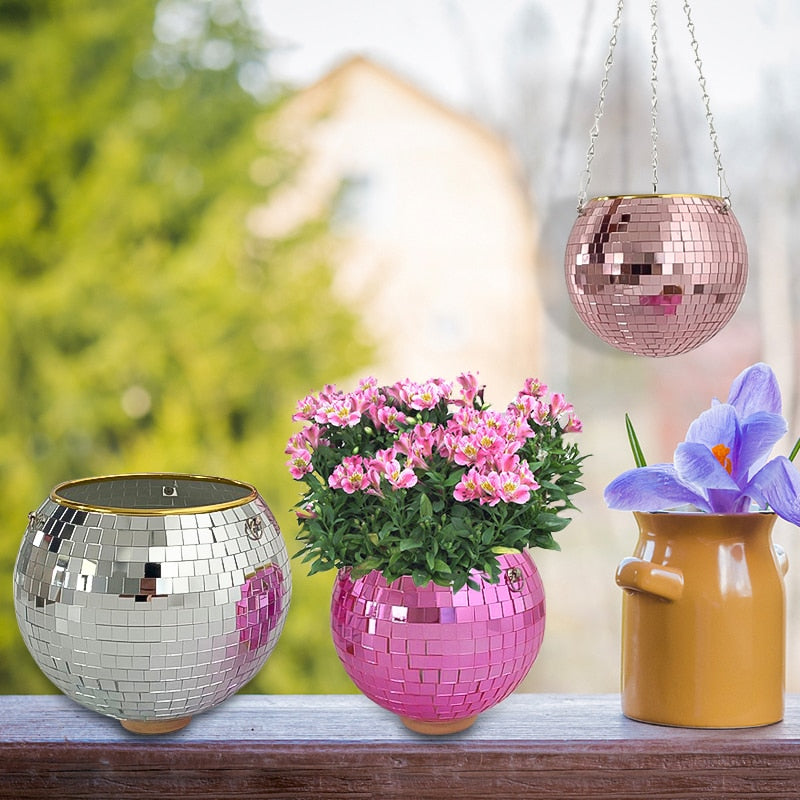 BowLift | Disco Ball Plant