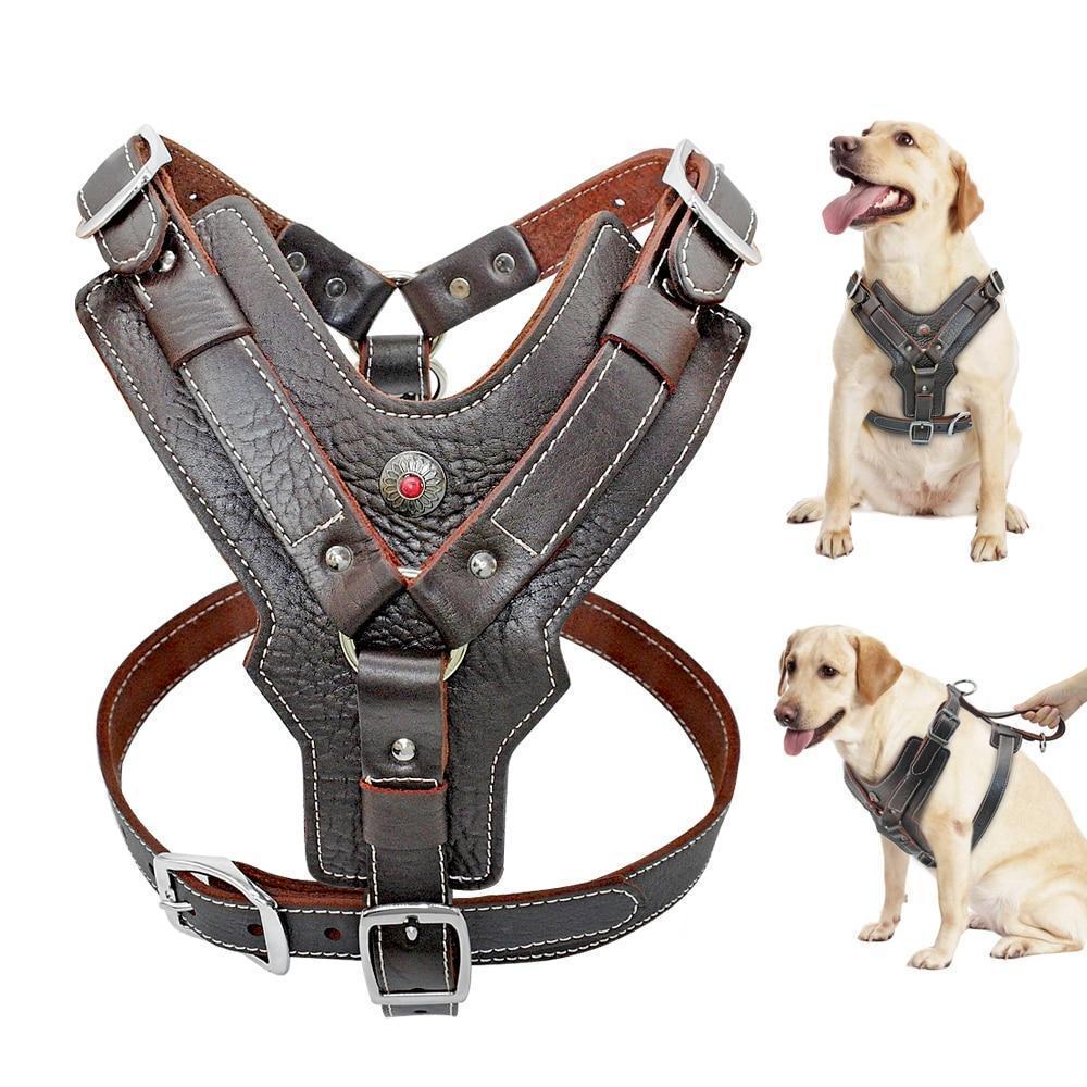 Azura | Extra Large Genuine Leather Dog Harness