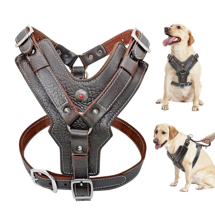 Azura | Extra Large Genuine Leather Dog Harness