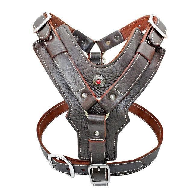 Azura | Extra Large Genuine Leather Dog Harness