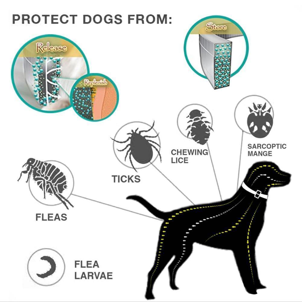 Azura | Tick and Flea Eliminating Dog Collar