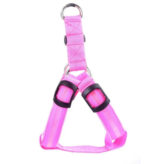 GlowSafe LED Dog Harness Azura