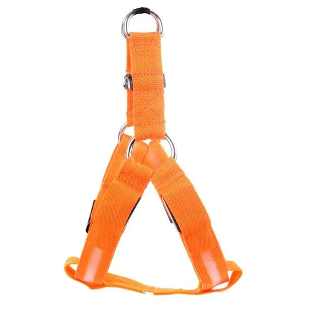 GlowSafe LED Dog Harness Azura