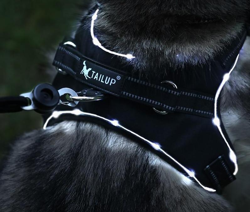 Azura | No Pull Dog Harness Vest with LED Lamp