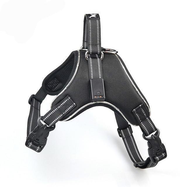 Azura | No Pull Dog Harness Vest with LED Lamp