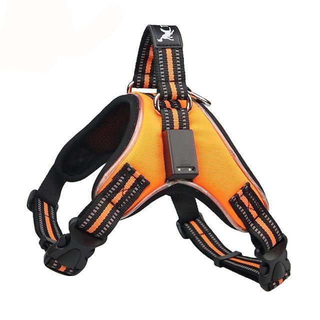 Azura | No Pull Dog Harness Vest with LED Lamp