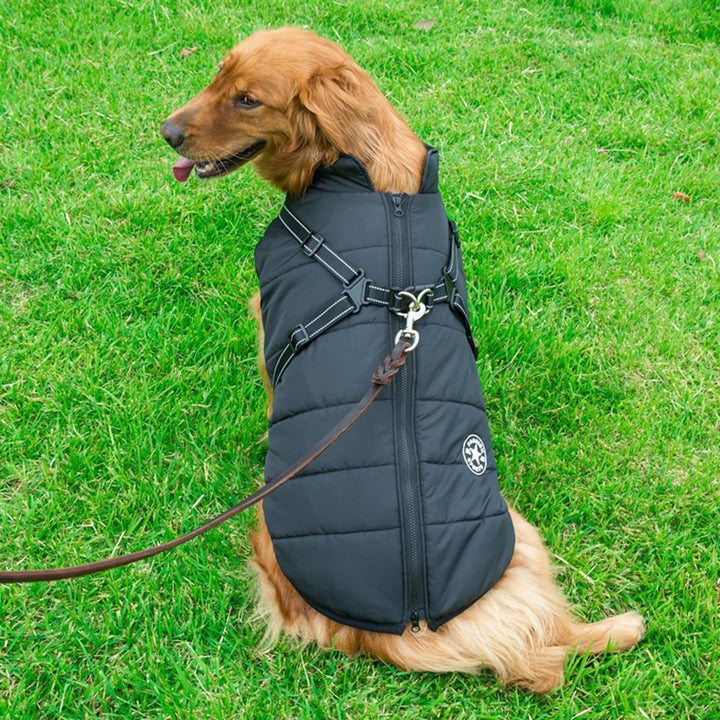 Azura | WoofGuard - Waterproof Winter Jacket with Integrated Harness