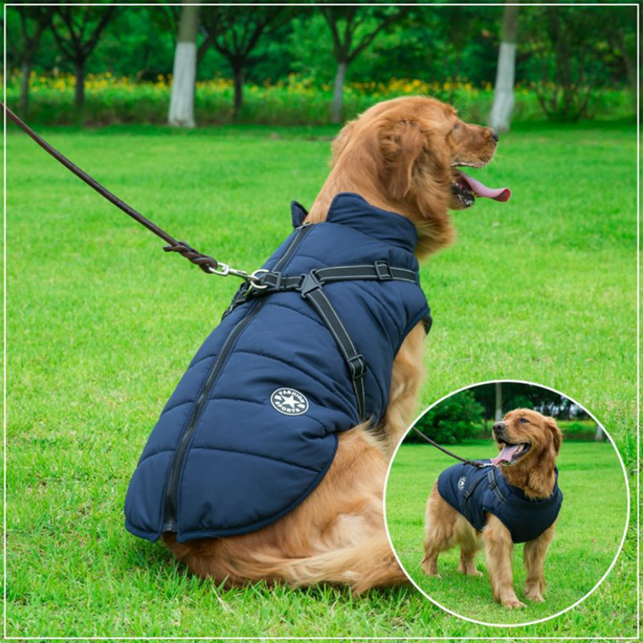 Azura | WoofGuard - Waterproof Winter Jacket with Integrated Harness
