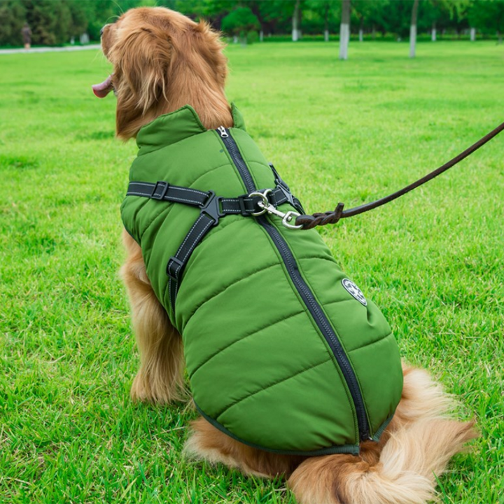 Azura | WoofGuard - Waterproof Winter Jacket with Integrated Harness