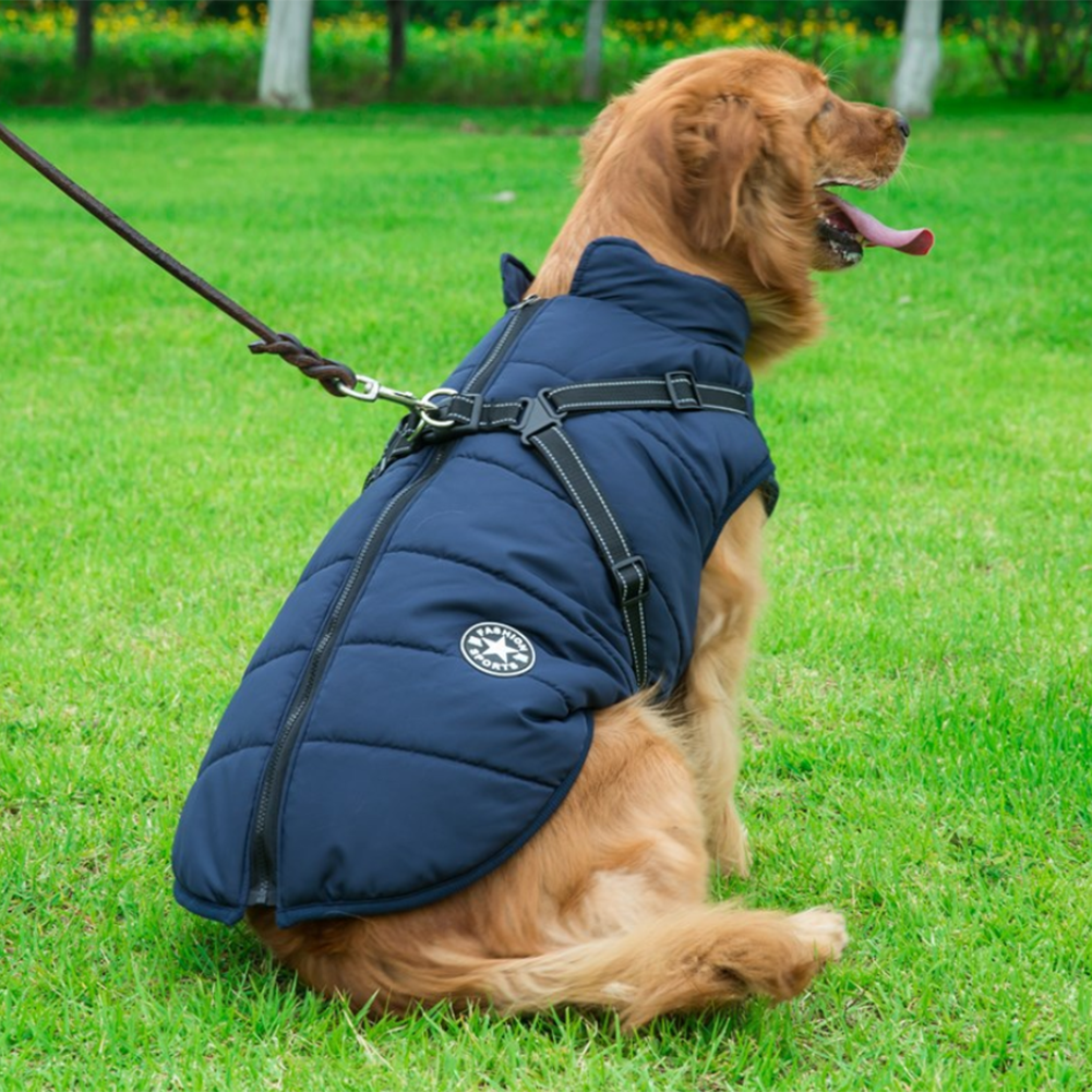 Azura | WoofGuard - Waterproof Winter Jacket with Integrated Harness