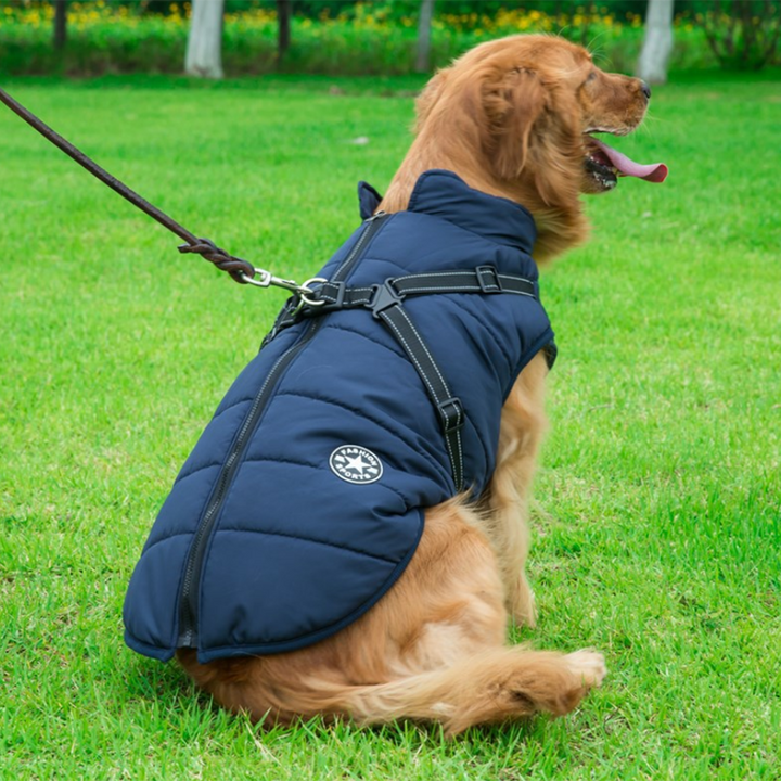 Azura | WoofGuard - Waterproof Winter Jacket with Integrated Harness
