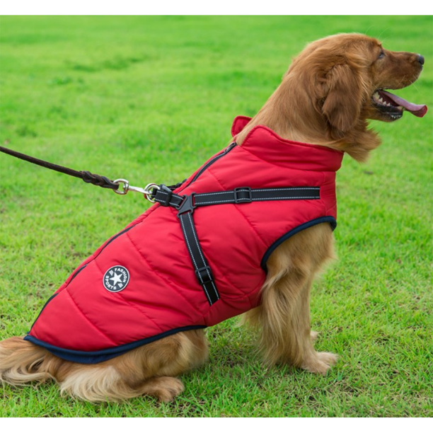 Azura | WoofGuard - Waterproof Winter Jacket with Integrated Harness