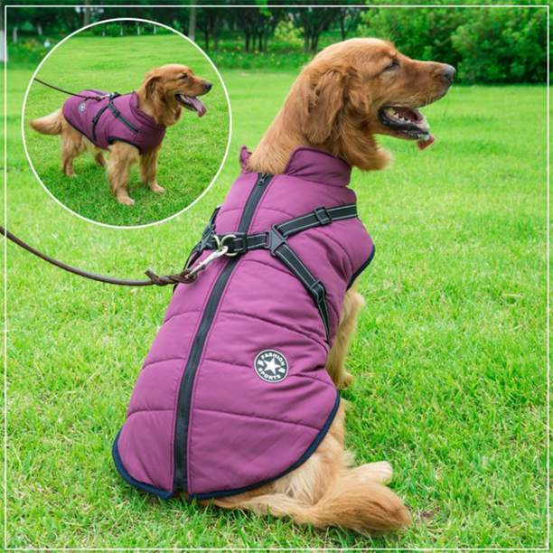 Azura | WoofGuard - Waterproof Winter Jacket with Integrated Harness