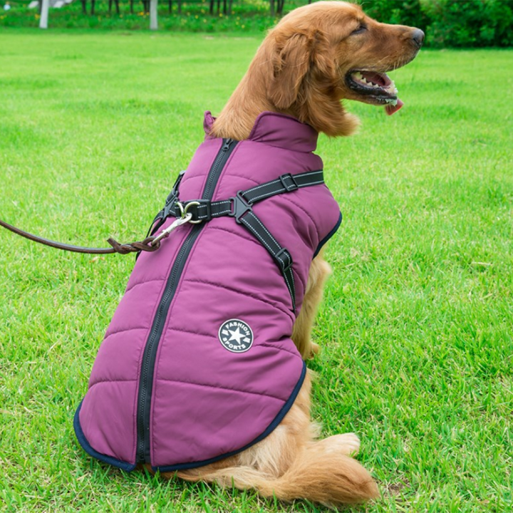 Azura | WoofGuard - Waterproof Winter Jacket with Integrated Harness