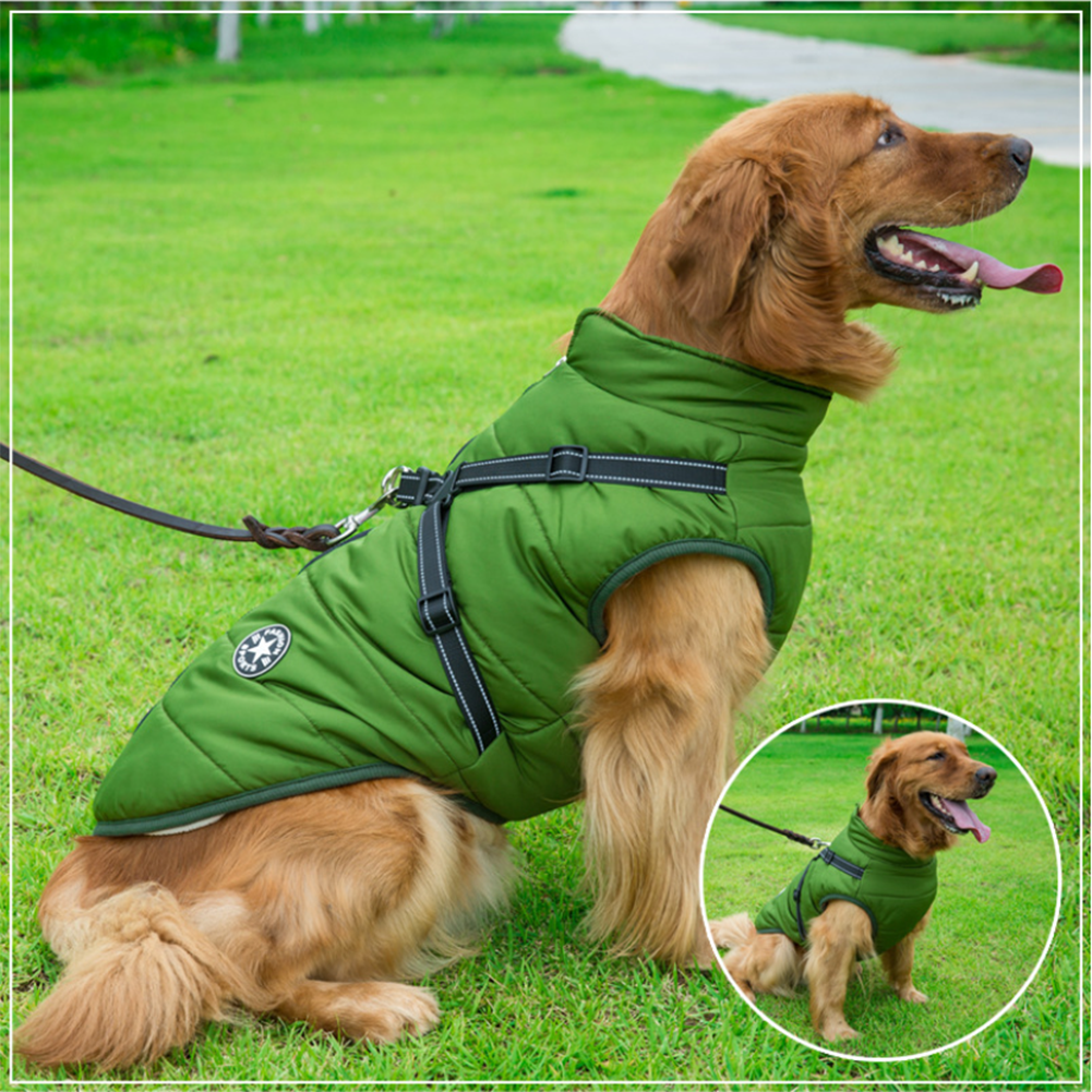 Azura | WoofGuard - Waterproof Winter Jacket with Integrated Harness