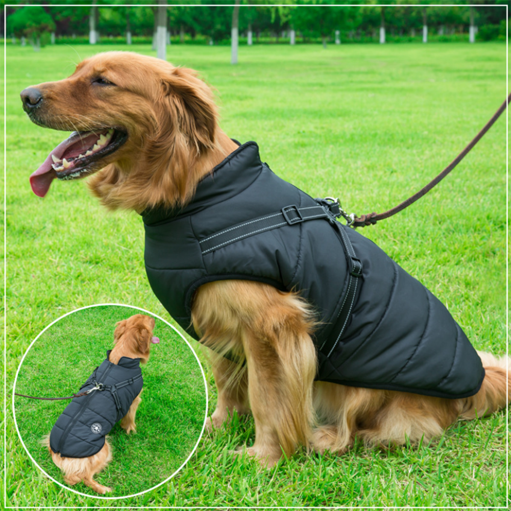 Azura | WoofGuard - Waterproof Winter Jacket with Integrated Harness