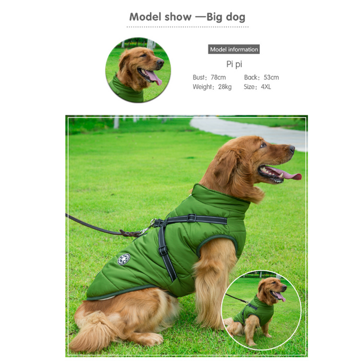 Azura | WoofGuard - Waterproof Winter Jacket with Integrated Harness