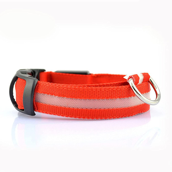 Azura | Luminous Animal Collar with LED Light – Rechargeable, Waterproof, Adjustable Fit for Enhanced Safety at Night
