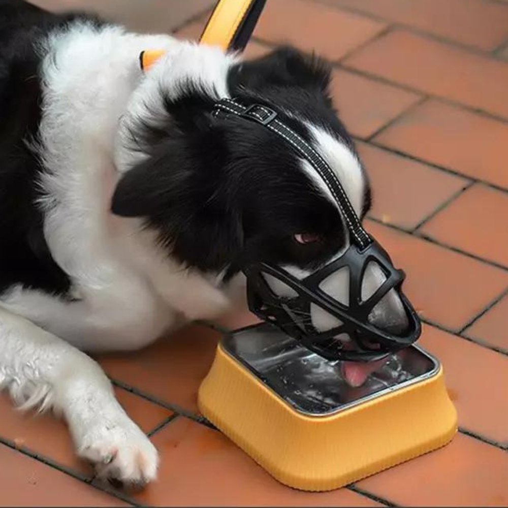 SafeBark • Dog Muzzle