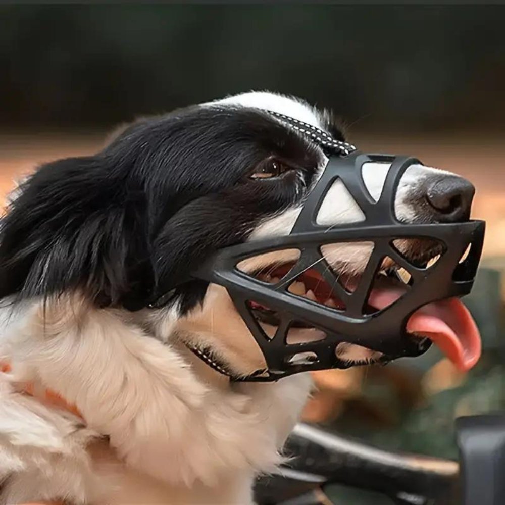 SafeBark • Dog Muzzle