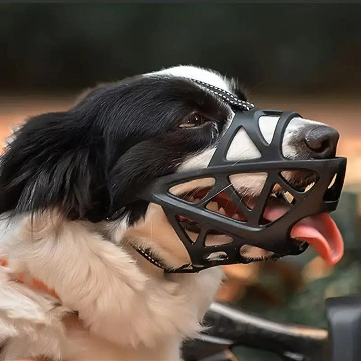 SafeBark • Dog Muzzle