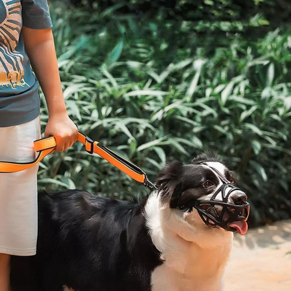 SafeBark • Dog Muzzle