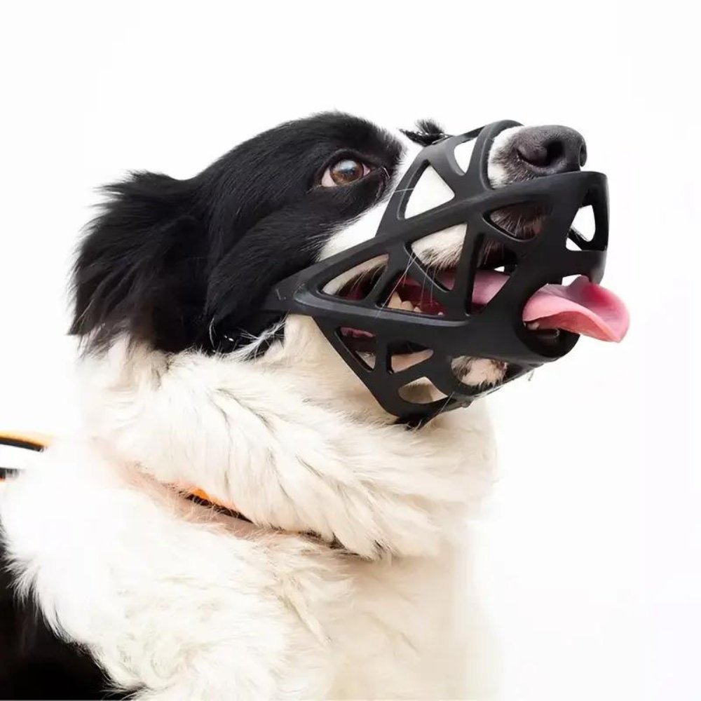 SafeBark • Dog Muzzle