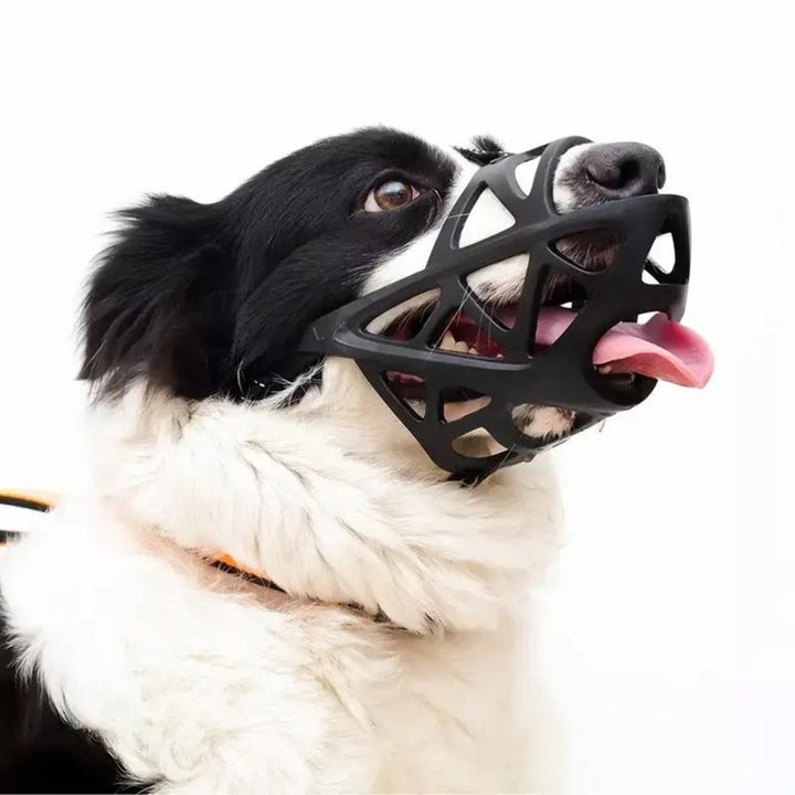 SafeBark • Dog Muzzle