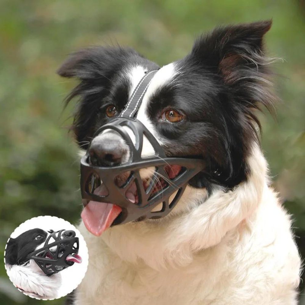 SafeBark • Dog Muzzle