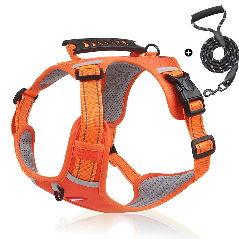 Azura | Reflective Dog Harness