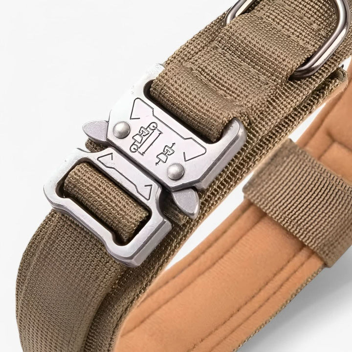 Azura | Adjustable Dog Collar Set for Adventures and Daily Training