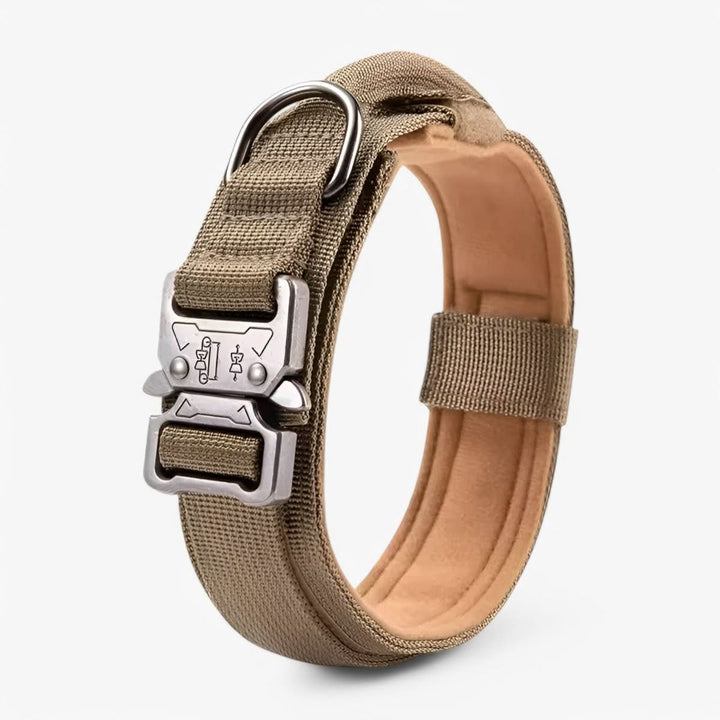 Azura | Adjustable Dog Collar Set for Adventures and Daily Training