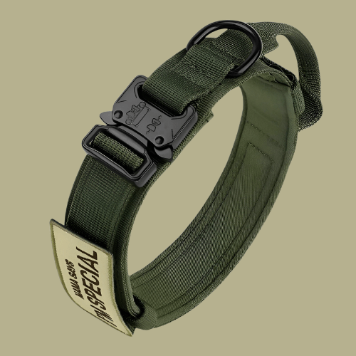 Azura | Adjustable Dog Collar Set for Adventures and Daily Training