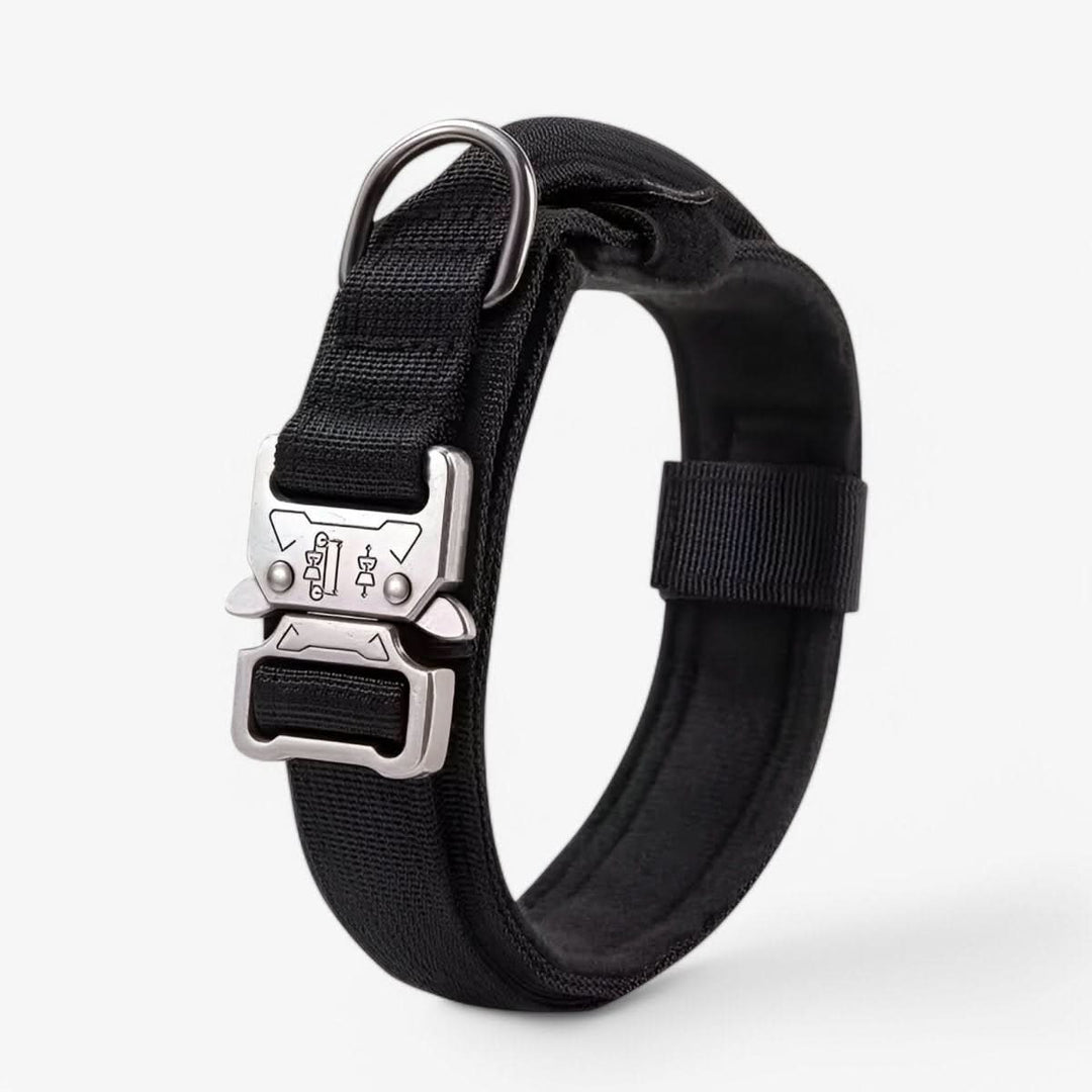 Azura | Adjustable Dog Collar Set for Adventures and Daily Training